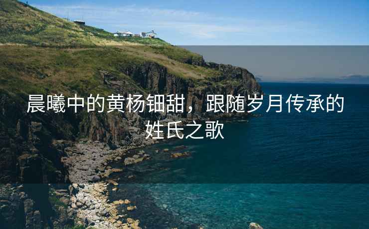 晨曦中的黃楊鈿甜，跟隨歲月傳承的姓氏之歌