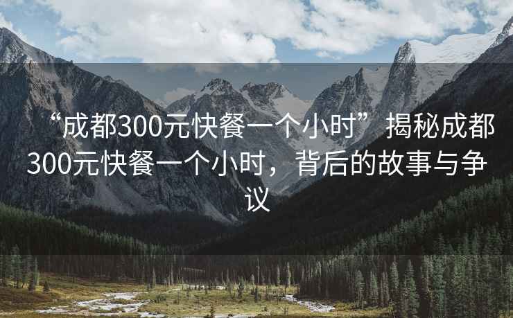 “成都300元快餐一個小時”揭秘成都300元快餐一個小時，背后的故事與爭議