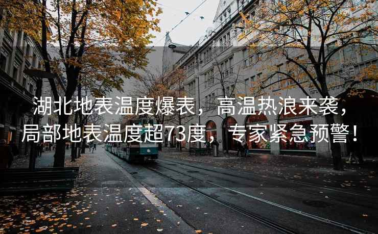 湖北地表溫度爆表，高溫?zé)崂藖?lái)襲，局部地表溫度超73度，專(zhuān)家緊急預(yù)警！