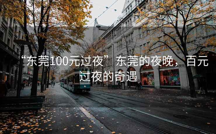 “東莞100元過(guò)夜”東莞的夜晚，百元過(guò)夜的奇遇