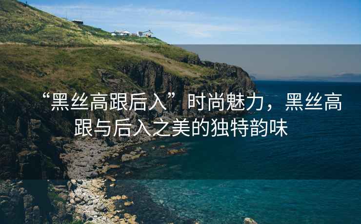 “黑絲高跟后入”時尚魅力，黑絲高跟與后入之美的獨特韻味