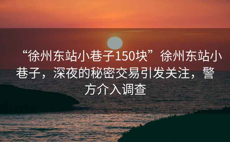 “徐州東站小巷子150塊”徐州東站小巷子，深夜的秘密交易引發關注，警方介入調查
