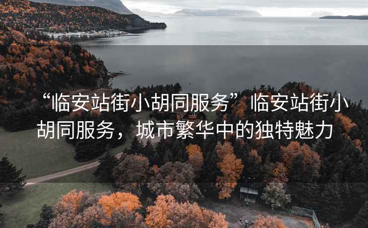“臨安站街小胡同服務”臨安站街小胡同服務，城市繁華中的獨特魅力