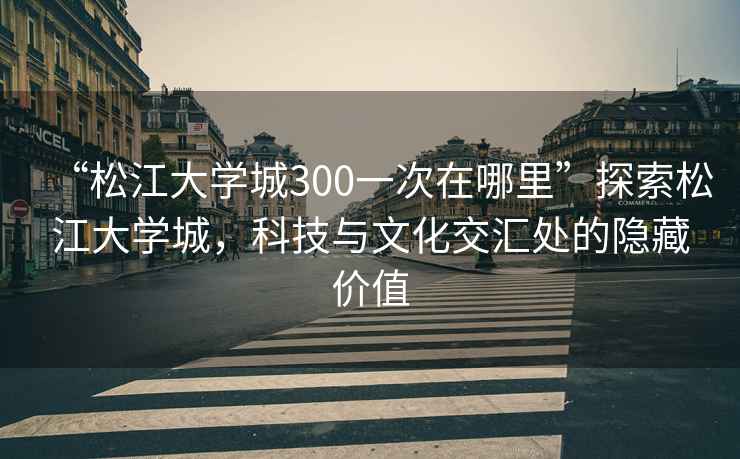 “松江大學(xué)城300一次在哪里”探索松江大學(xué)城，科技與文化交匯處的隱藏價(jià)值