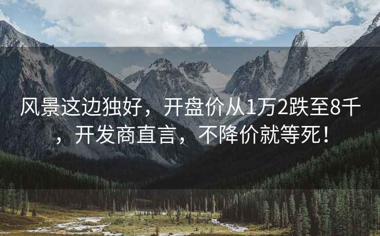 風景這邊獨好，開盤價從1萬2跌至8千，開發商直言，不降價就等死！