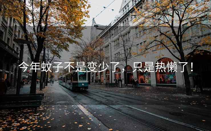 今年蚊子不是變少了，只是熱懶了！