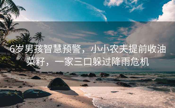 6歲男孩智慧預警，小小農夫提前收油菜籽，一家三口躲過降雨危機