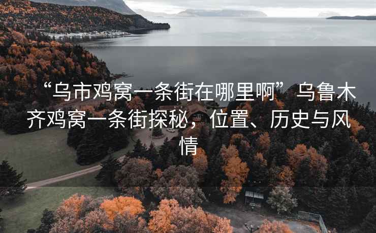 “烏市雞窩一條街在哪里啊”烏魯木齊雞窩一條街探秘，位置、歷史與風情