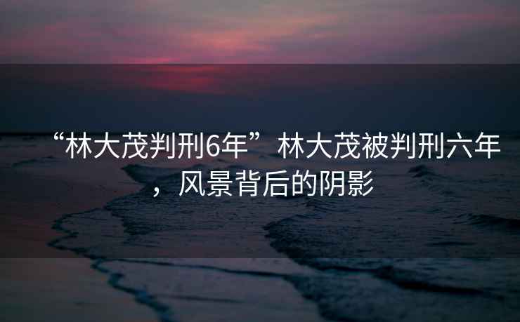 “林大茂判刑6年”林大茂被判刑六年，風景背后的陰影
