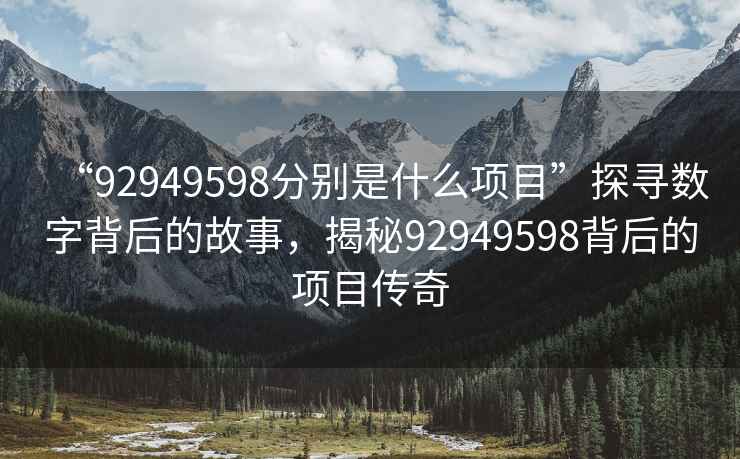 “92949598分別是什么項目”探尋數字背后的故事，揭秘92949598背后的項目傳奇