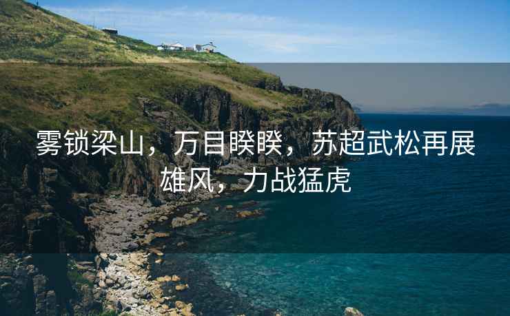 霧鎖梁山，萬目睽睽，蘇超武松再展雄風(fēng)，力戰(zhàn)猛虎
