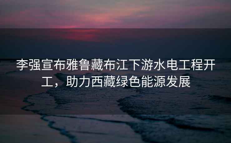 李強(qiáng)宣布雅魯藏布江下游水電工程開工，助力西藏綠色能源發(fā)展