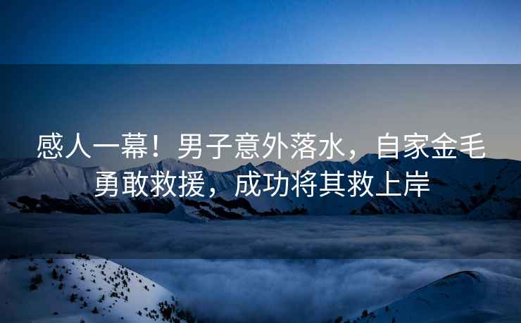 感人一幕！男子意外落水，自家金毛勇敢救援，成功將其救上岸