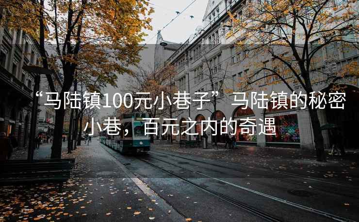 “馬陸鎮100元小巷子”馬陸鎮的秘密小巷，百元之內的奇遇