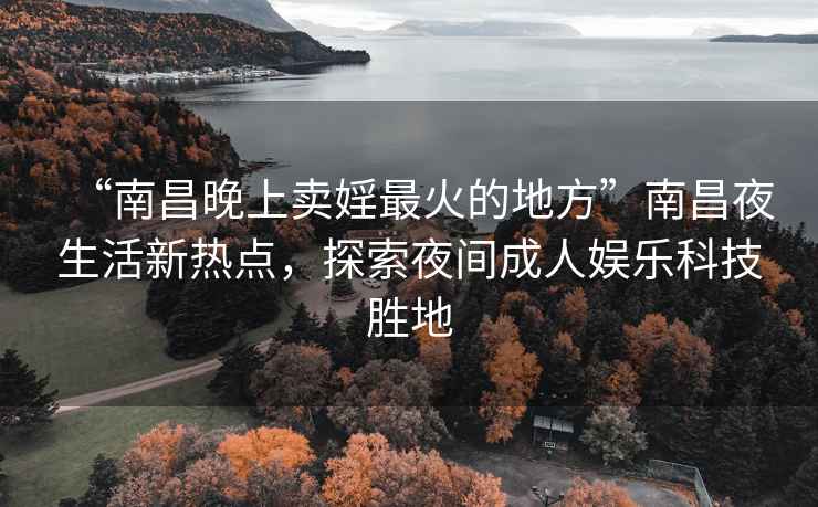 “南昌晚上賣婬最火的地方”南昌夜生活新熱點，探索夜間成人娛樂科技勝地