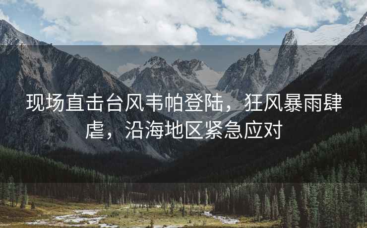 現場直擊臺風韋帕登陸，狂風暴雨肆虐，沿海地區緊急應對