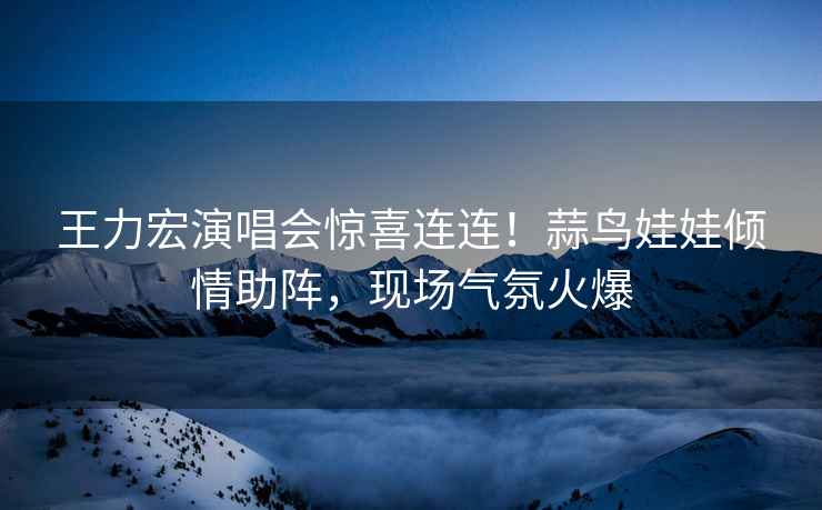 王力宏演唱會驚喜連連！蒜鳥娃娃傾情助陣，現場氣氛火爆
