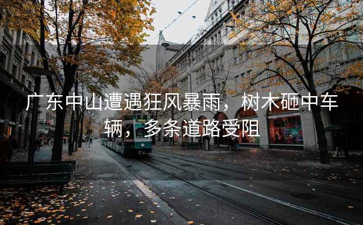 廣東中山遭遇狂風暴雨，樹木砸中車輛，多條道路受阻