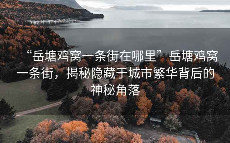 “岳塘雞窩一條街在哪里”岳塘雞窩一條街，揭秘隱藏于城市繁華背后的神秘角落