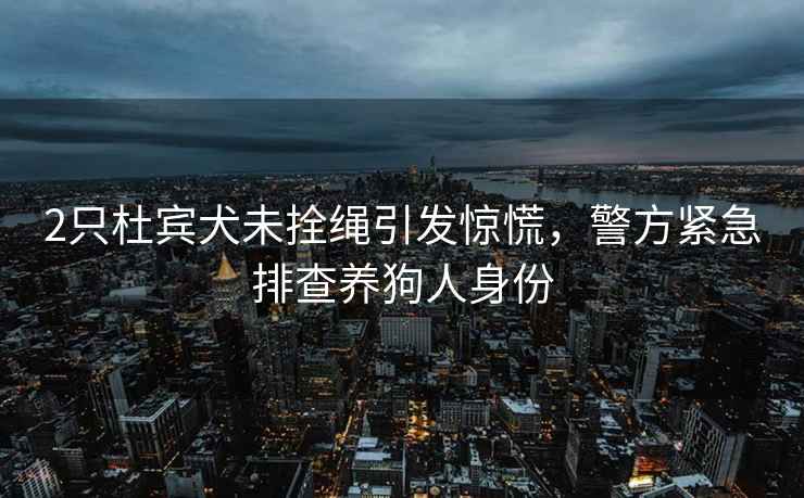2只杜賓犬未拴繩引發驚慌，警方緊急排查養狗人身份