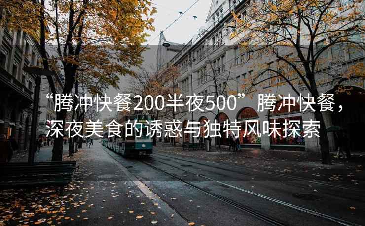 “騰沖快餐200半夜500”騰沖快餐，深夜美食的誘惑與獨特風味探索