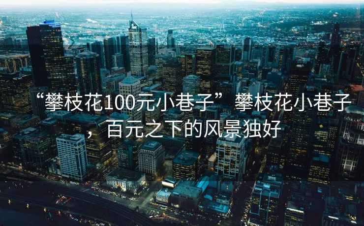 “攀枝花100元小巷子”攀枝花小巷子，百元之下的風景獨好
