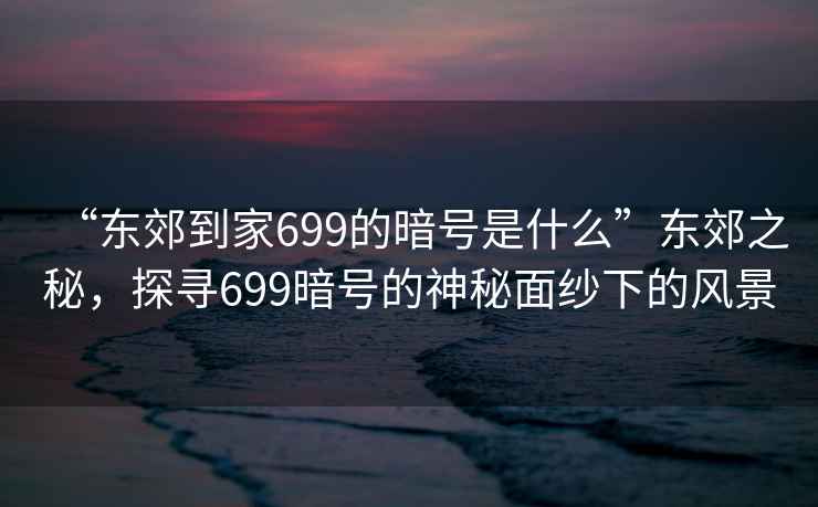 “東郊到家699的暗號是什么”東郊之秘，探尋699暗號的神秘面紗下的風景