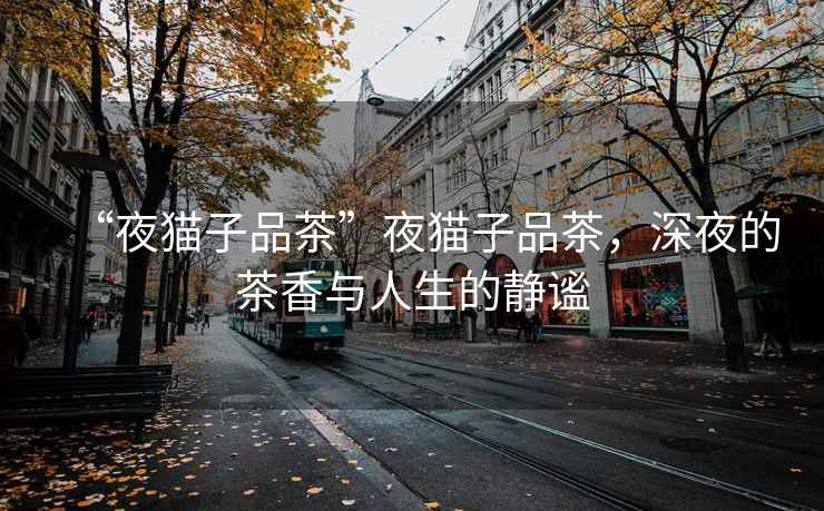 “夜貓子品茶”夜貓子品茶，深夜的茶香與人生的靜謐