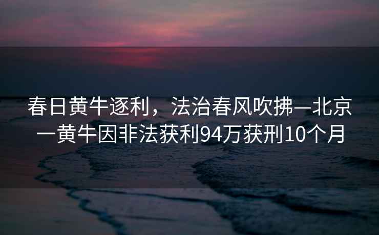 春日黃牛逐利，法治春風吹拂—北京一黃牛因非法獲利94萬獲刑10個月