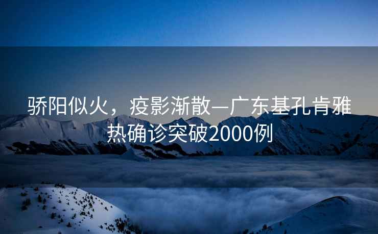 驕陽(yáng)似火，疫影漸散—廣東基孔肯雅熱確診突破2000例