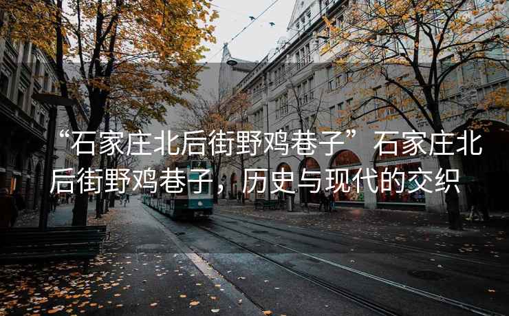 “石家莊北后街野雞巷子”石家莊北后街野雞巷子，歷史與現代的交織