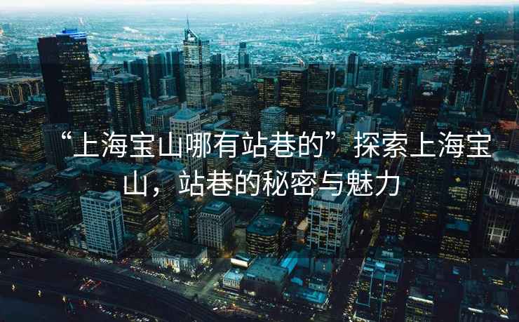 “上海寶山哪有站巷的”探索上海寶山，站巷的秘密與魅力