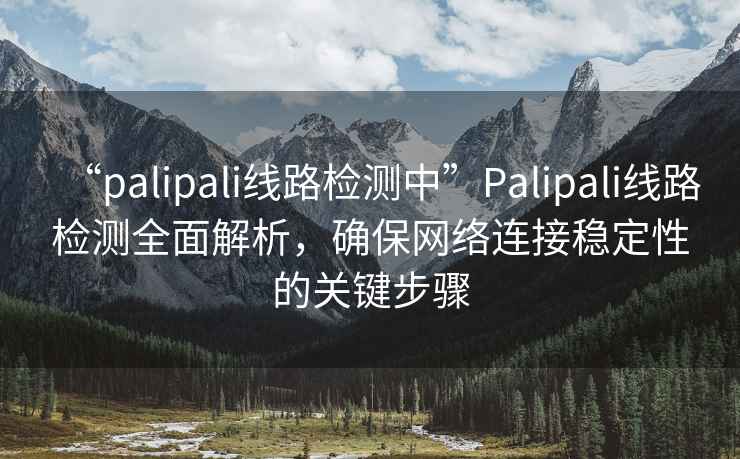 “palipali線路檢測中”Palipali線路檢測全面解析，確保網絡連接穩定性的關鍵步驟