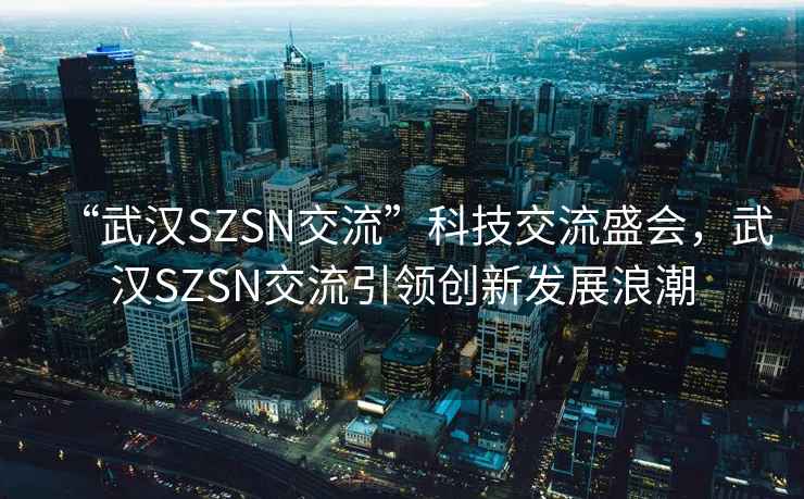 “武漢SZSN交流”科技交流盛會，武漢SZSN交流引領創新發展浪潮