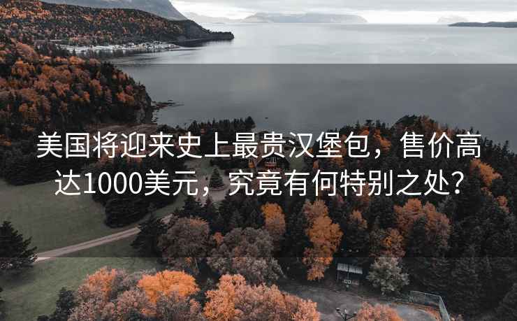 美國將迎來史上最貴漢堡包，售價高達1000美元，究竟有何特別之處？