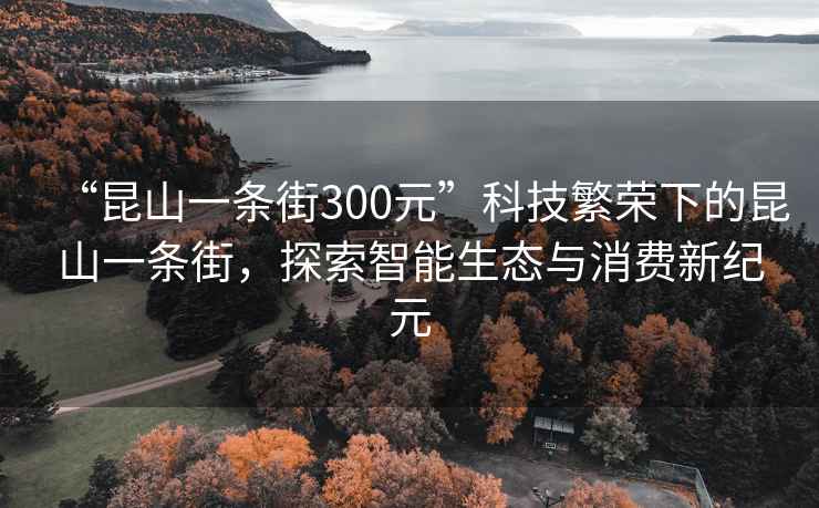 “昆山一條街300元”科技繁榮下的昆山一條街，探索智能生態與消費新紀元