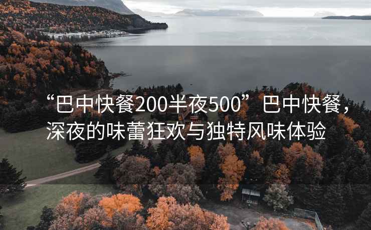 “巴中快餐200半夜500”巴中快餐，深夜的味蕾狂歡與獨(dú)特風(fēng)味體驗(yàn)