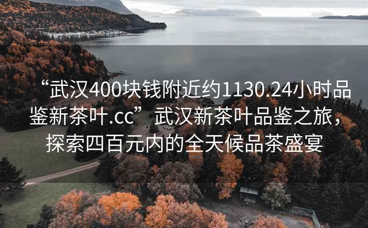 “武漢400塊錢附近約1130.24小時品鑒新茶葉.cc”武漢新茶葉品鑒之旅，探索四百元內的全天候品茶盛宴