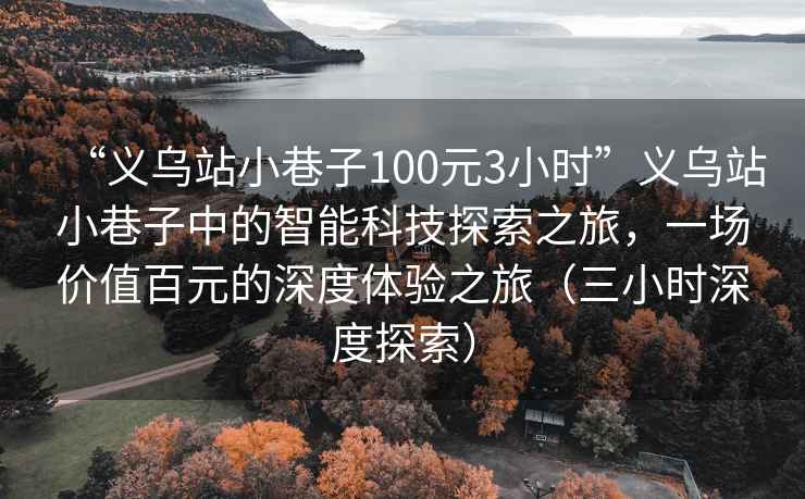 “義烏站小巷子100元3小時”義烏站小巷子中的智能科技探索之旅，一場價值百元的深度體驗之旅（三小時深度探索）