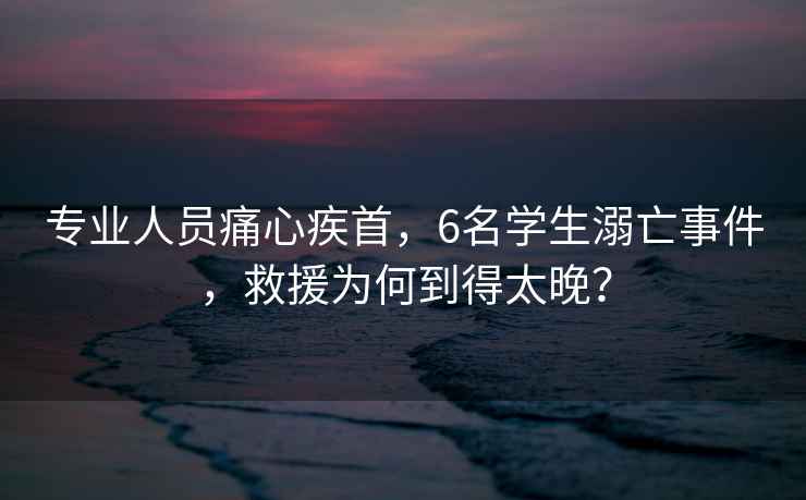 專業人員痛心疾首，6名學生溺亡事件，救援為何到得太晚？