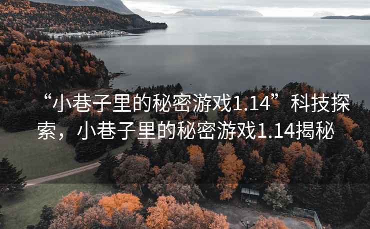 “小巷子里的秘密游戲1.14”科技探索，小巷子里的秘密游戲1.14揭秘