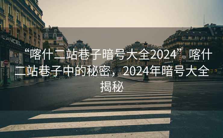 “喀什二站巷子暗號大全2024”喀什二站巷子中的秘密，2024年暗號大全揭秘
