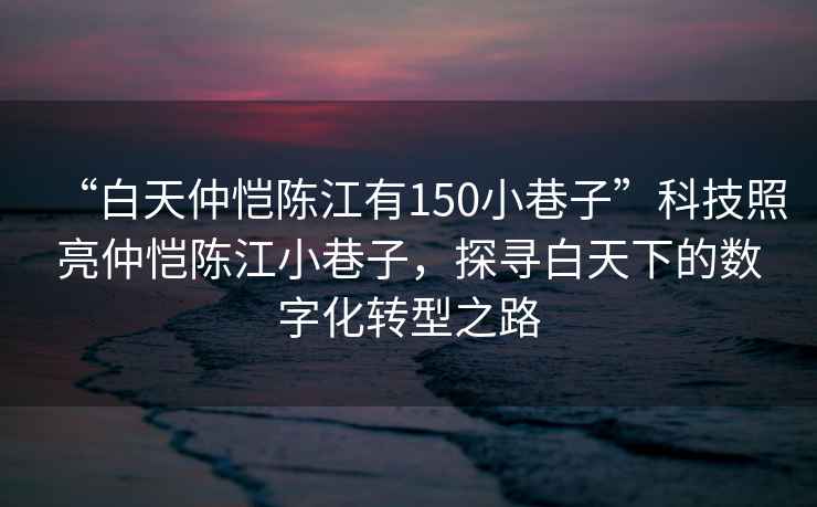 “白天仲愷陳江有150小巷子”科技照亮仲愷陳江小巷子，探尋白天下的數(shù)字化轉(zhuǎn)型之路