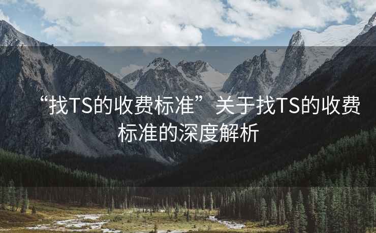 “找TS的收費標準”關于找TS的收費標準的深度解析