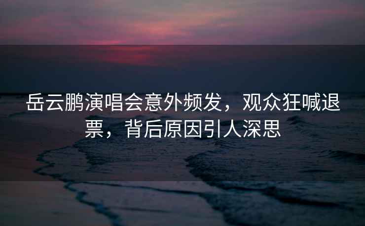 岳云鵬演唱會意外頻發，觀眾狂喊退票，背后原因引人深思
