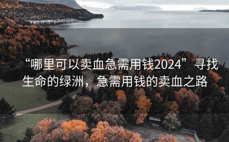“哪里可以賣血急需用錢2024”尋找生命的綠洲，急需用錢的賣血之路