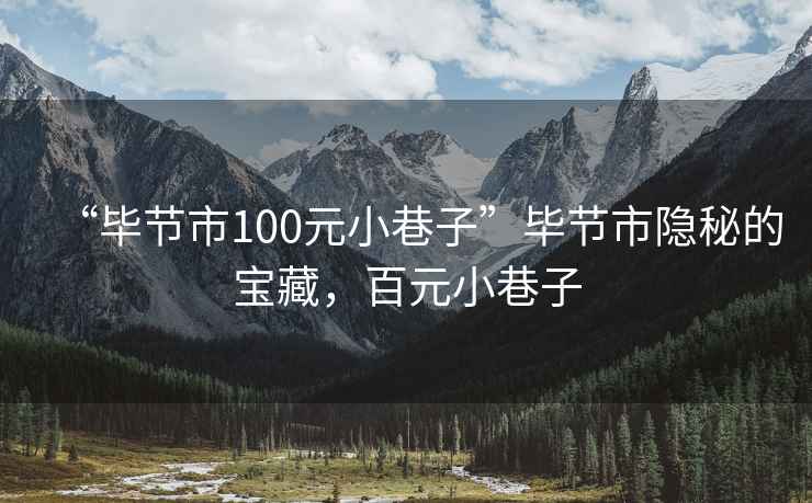 “畢節市100元小巷子”畢節市隱秘的寶藏，百元小巷子