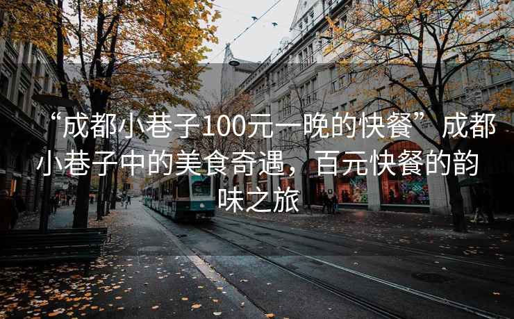 “成都小巷子100元一晚的快餐”成都小巷子中的美食奇遇，百元快餐的韻味之旅