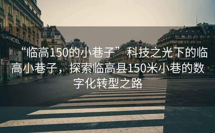 “臨高150的小巷子”科技之光下的臨高小巷子，探索臨高縣150米小巷的數字化轉型之路