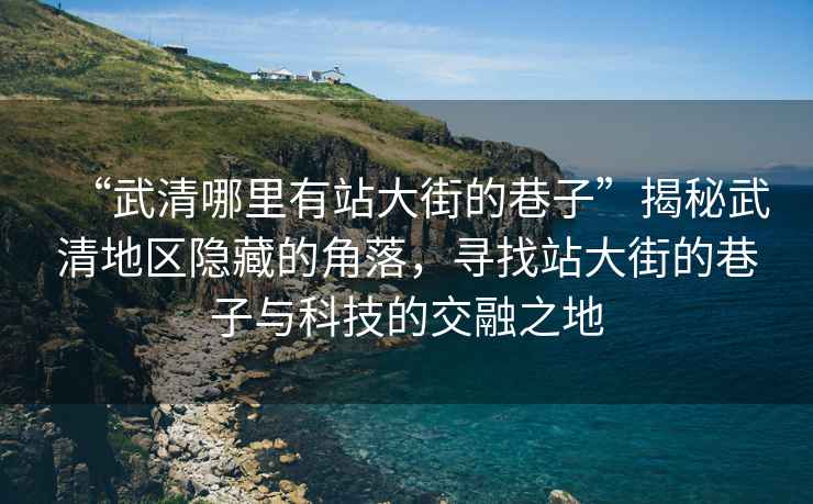 “武清哪里有站大街的巷子”揭秘武清地區(qū)隱藏的角落，尋找站大街的巷子與科技的交融之地